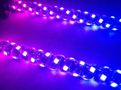 4ft LED Whip Lights